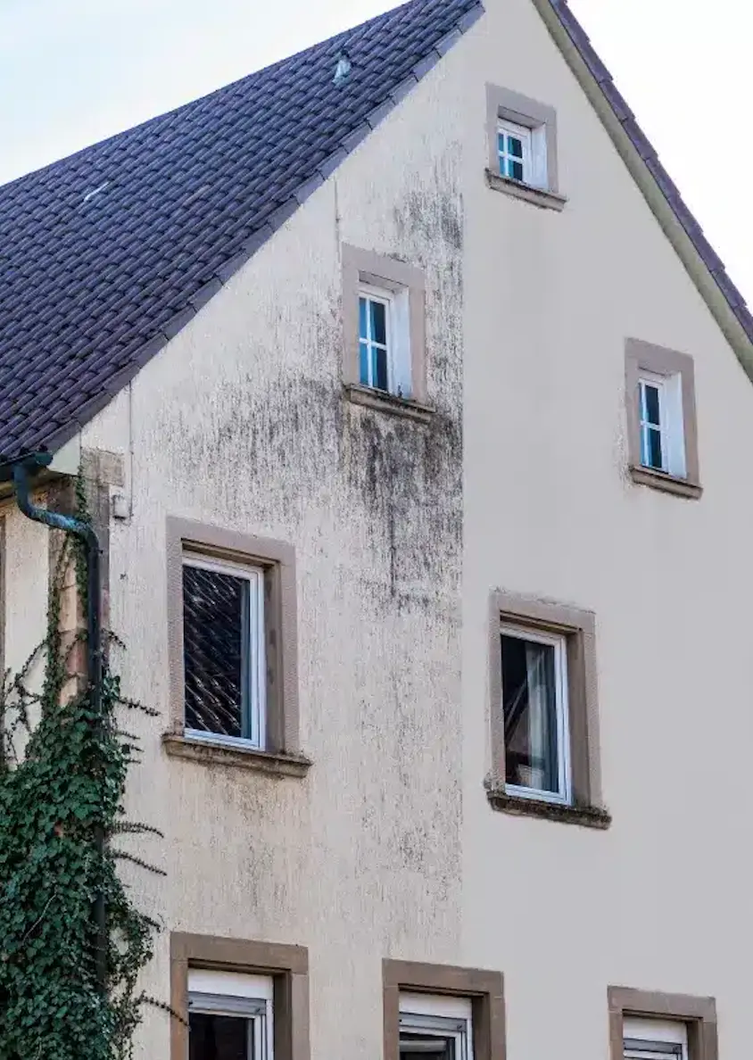 ravalement de façade Argenteuil nettoyage mur extérieur mousse pollution
